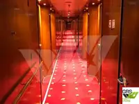 Navire de croisière à vendre