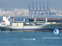 Navire frigorifique à vendre