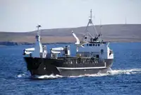 Vraquier à vendre