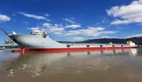 Péniche à vendre