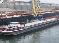 Transporteur de vrac à vendre