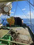 Purse seiner à vendre