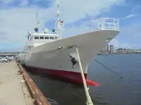Patrouilleur à vendre