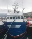 Bateaux de travail à vendre