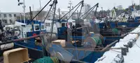 Navire transporteur de poissons vivants à vendre