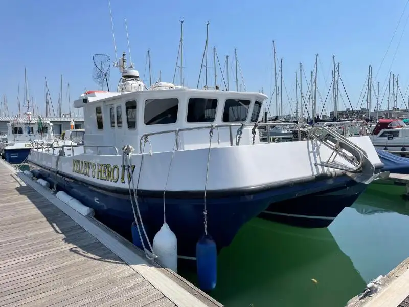 Catamaran à vendre
