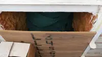 Chalutier à vendre