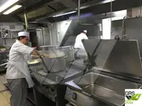 Navire de croisière à vendre