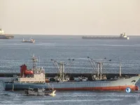 Navire frigorifique à vendre