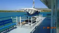 Ro-Ro ship à vendre