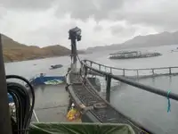 Bateaux de travail à vendre