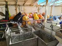 Palangrier à vendre