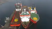 Navire d'approvisionnement de plateformes (PSV) à vendre