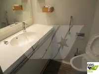 Navire de croisière à vendre