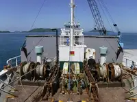Transporteur de vrac à vendre
