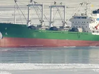 Navire frigorifique à vendre