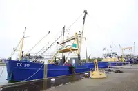 Navire de croisière à vendre