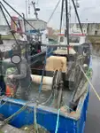 Transporteur de poissons vivants à vendre