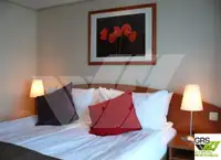 Navire de croisière à vendre