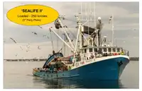 Chalutier à senne à vendre
