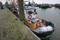 Chalutier à vendre