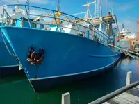 Trawler à vendre