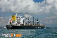 Transporteur de vrac à vendre