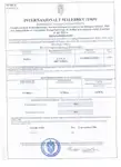 Navire Ro-Ro à vendre