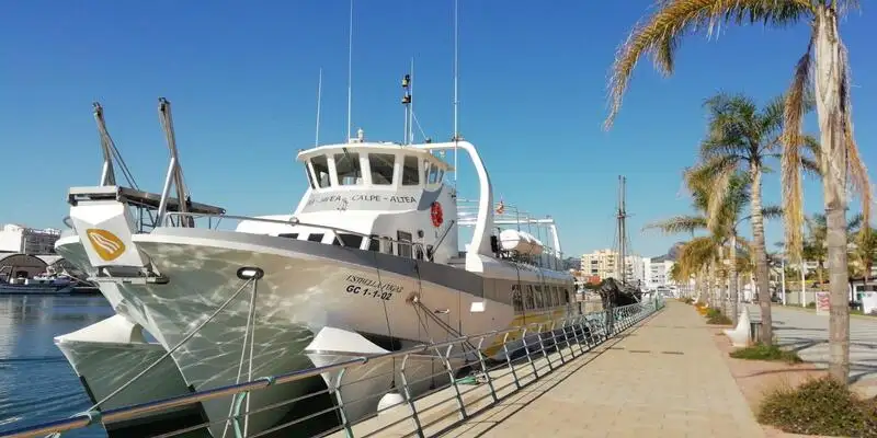 Navire-ferry à vendre