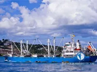 Navire frigorifique à vendre