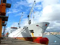 Navire frigorifique à vendre