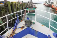 Navire transporteur de GNL à vendre