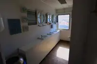 Navire de croisière à vendre