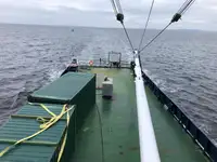 Navire frigorifique à vendre