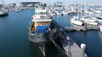 Bateaux de travail à vendre