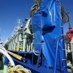 Purse seiner à vendre