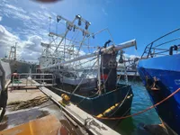 Chalutier à vendre