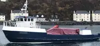 Bateaux de travail à vendre