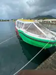 Navire-ferry à vendre