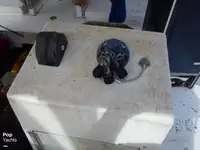 Chalutier à vendre