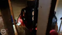 Chalutier à vendre