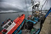 Chalutier à senne à vendre