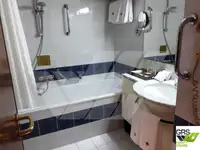 Navire de croisière à vendre