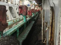 Calmar jigger à vendre