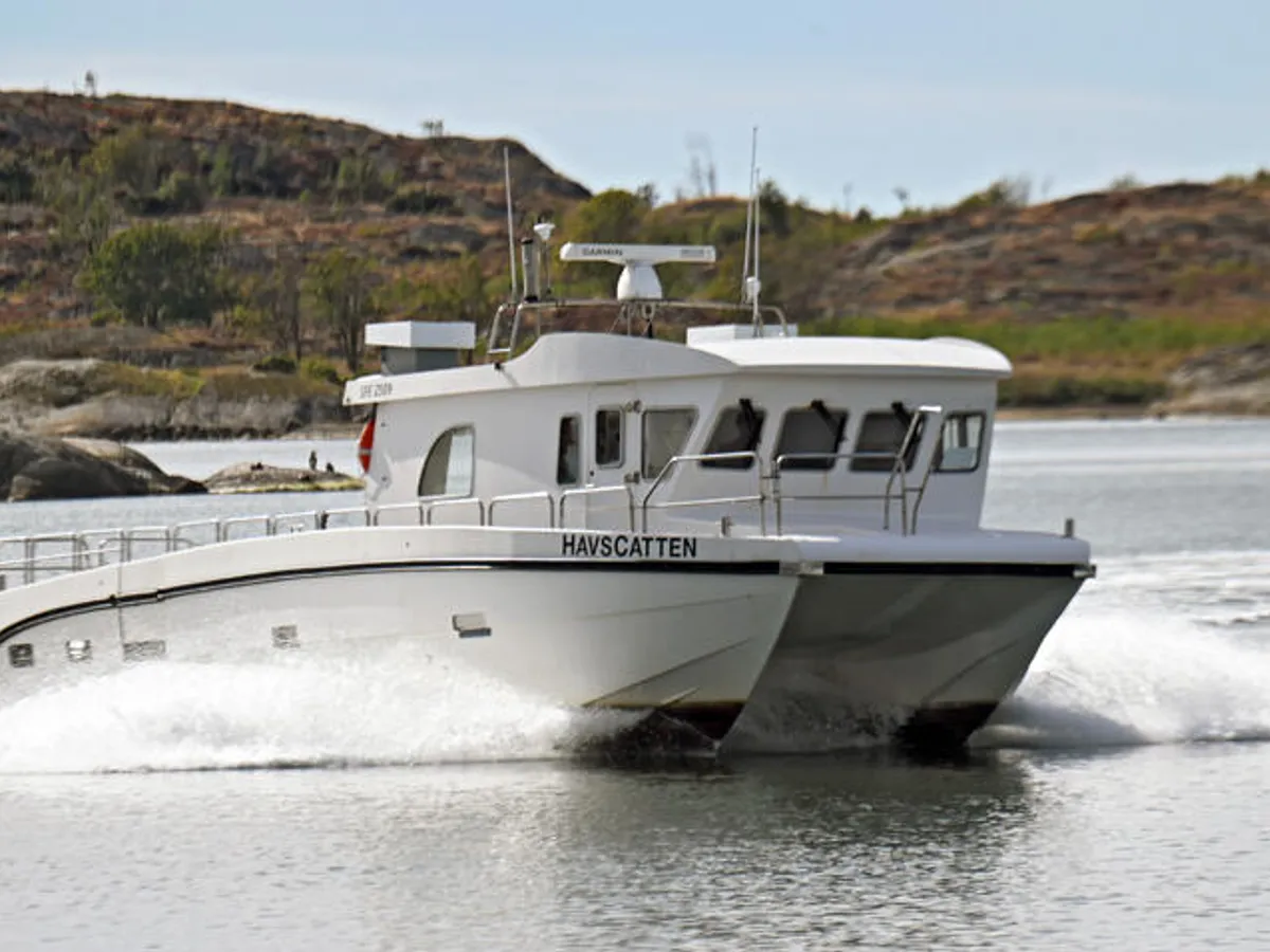 Catamaran à vendre