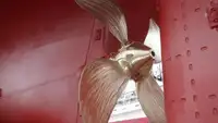 Palangrier à vendre