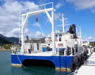 Catamaran à vendre