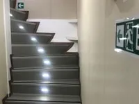 Navire de passagers à vendre