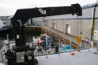 Catamaran à vendre
