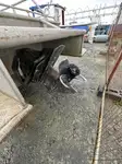 Patrouilleur à vendre